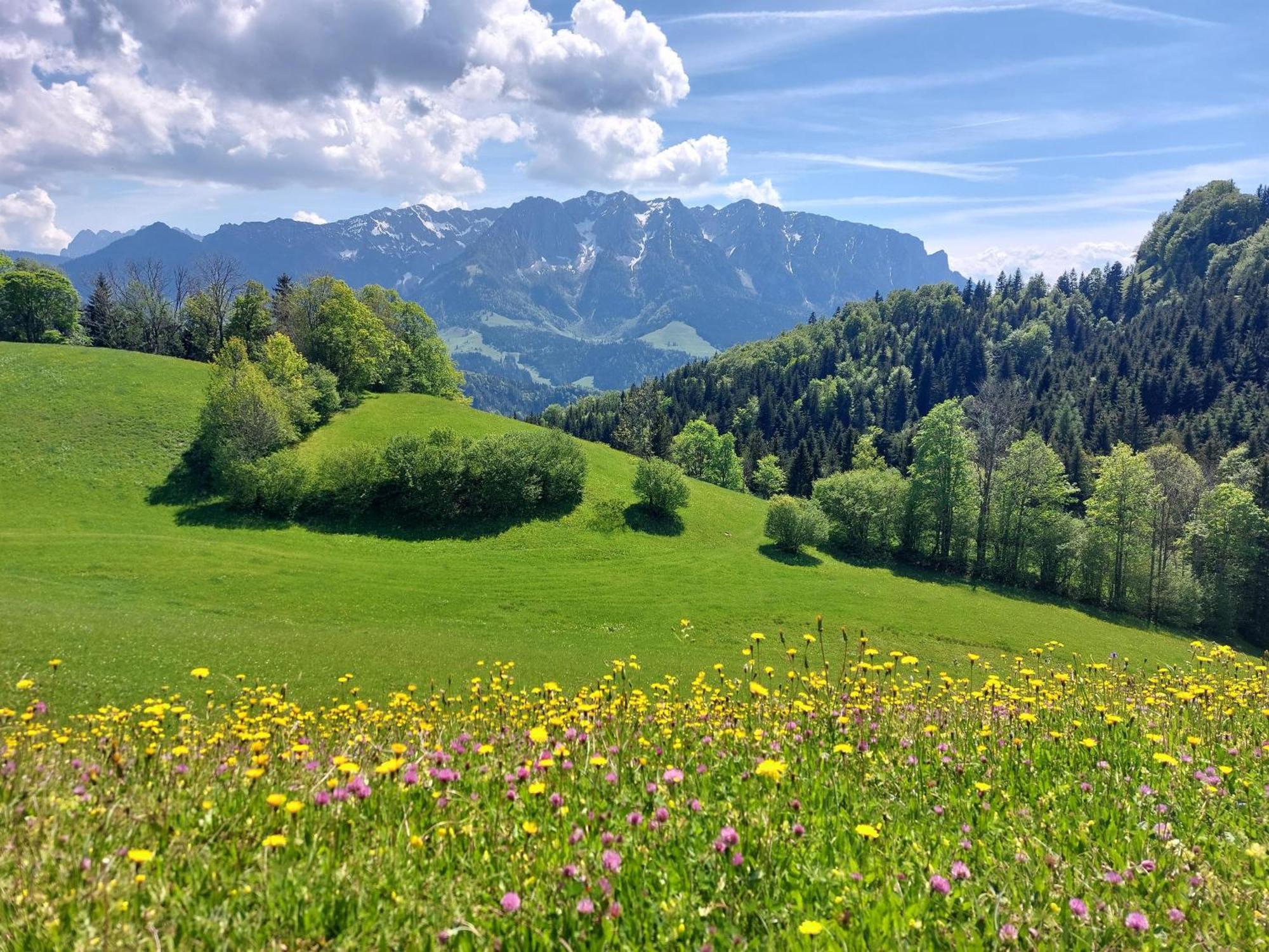 Bergapart Goetschl Rettenschoess Zewnętrze zdjęcie